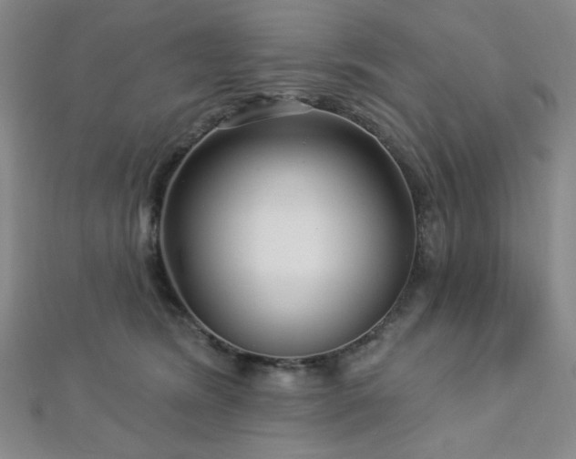 X0000112720420200908201252