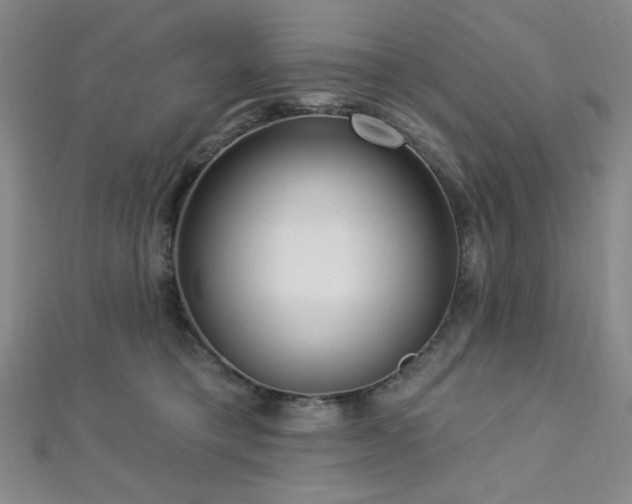 X0000112720421200908201252