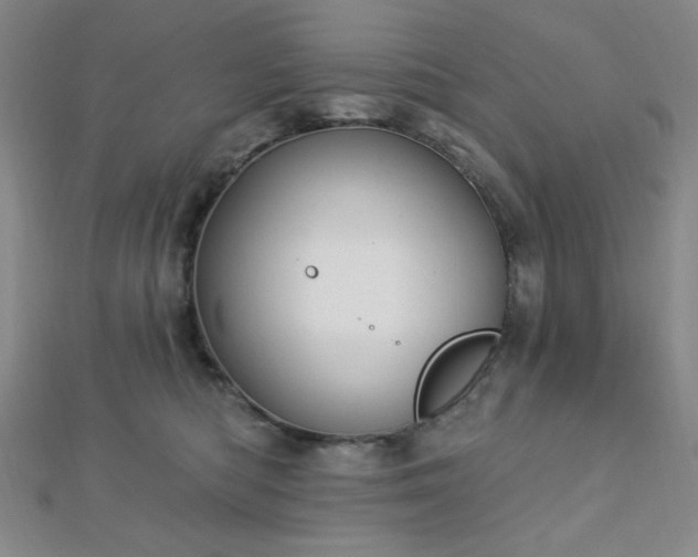 X0000112720422200908201252