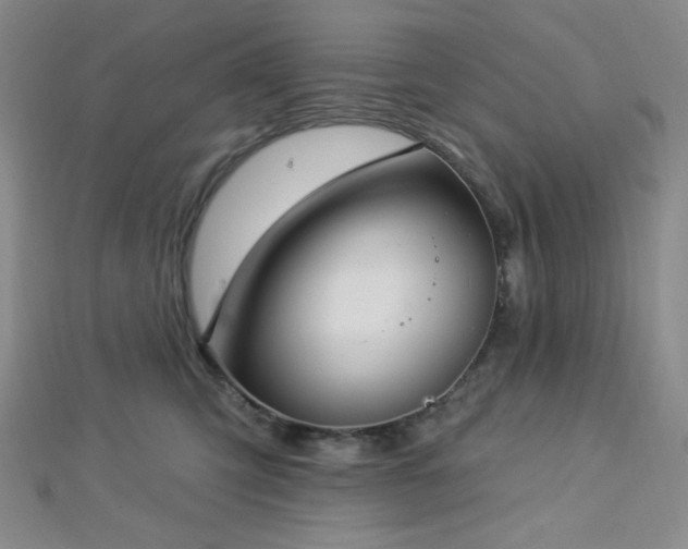 X0000112720423200908201252