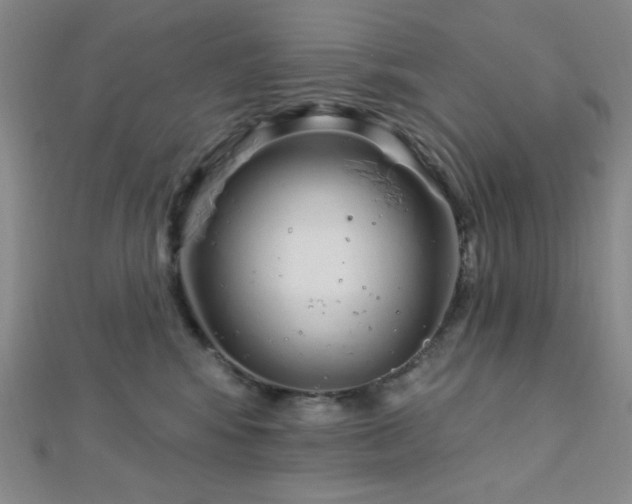 X0000112720424200908201252