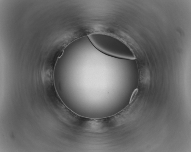 X0000112720425200908201252