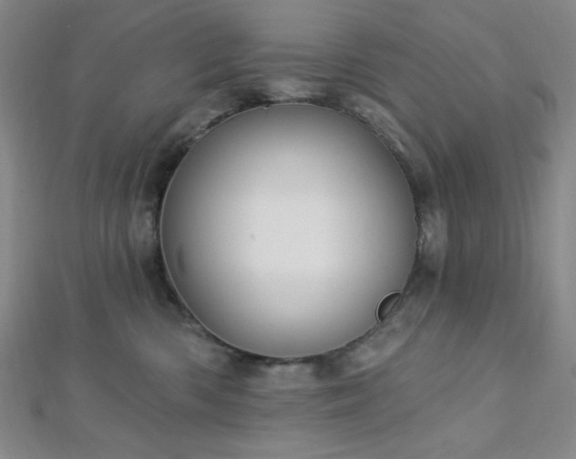 X0000112720426200908201252