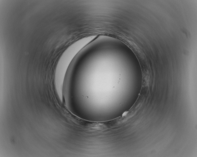 X0000112720427200908201252