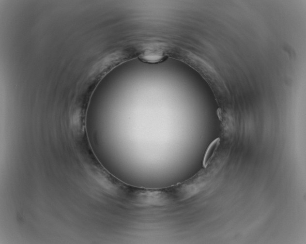 X0000112720428200908201252