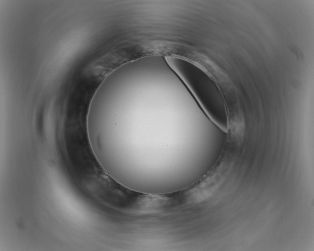 X0000112720429200908201252