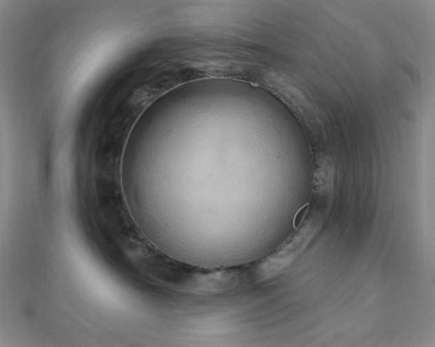 X0000112720430200908201252