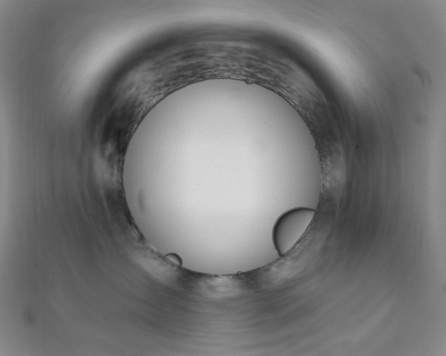 X0000112720431200908201252