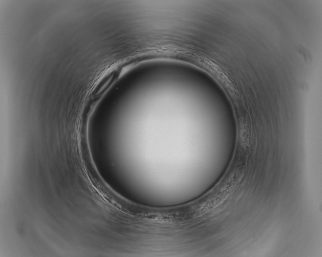 X0000112720434200908201251