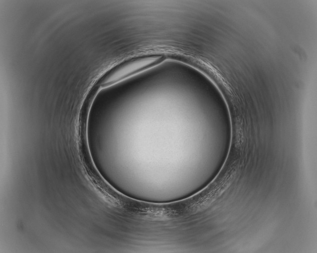 X0000112720439200908201251