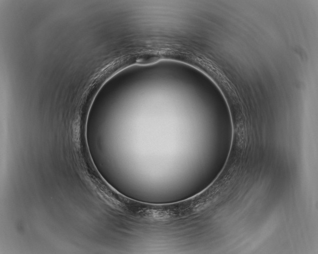 X0000112720442200908201251
