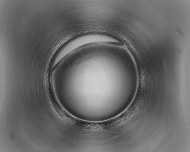 X0000112720443200908201251