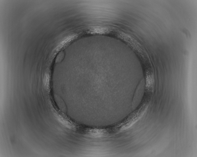 X0000112720444200908201251