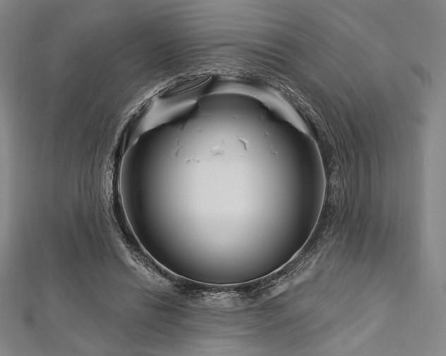 X0000112720446200908201251