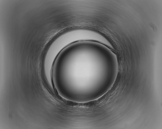 X0000112720448200908201251