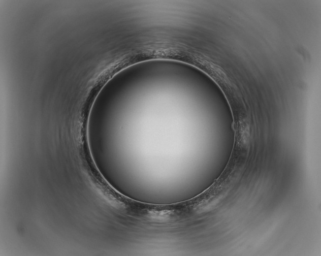 X0000112720450200908201251
