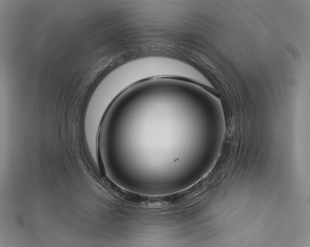X0000112720452200908201251