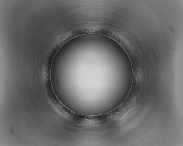 X0000112720455200908201251