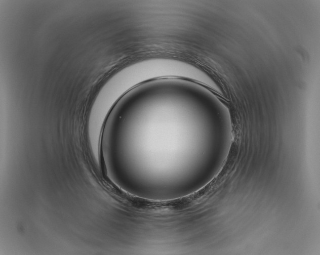 X0000112720456200908201251