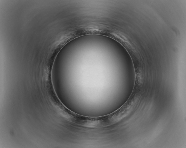 X0000112720458200908201252