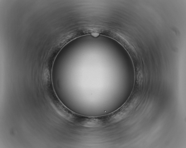 X0000112720459200908201252