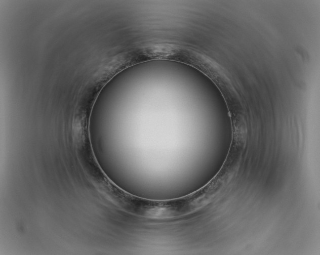X0000112720460200908201252