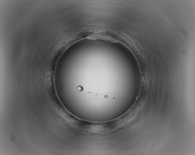 X0000112720462200908201252