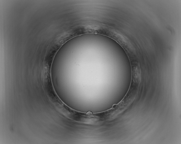X0000112720463200908201252