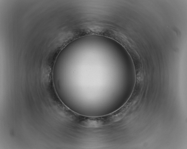 X0000112720464200908201252