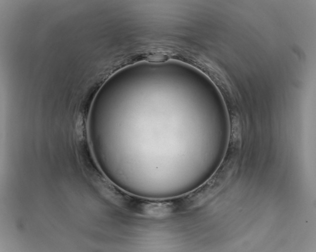 X0000112720465200908201252