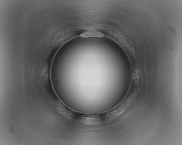 X0000112720466200908201252