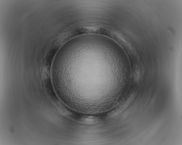 X0000112720467200908201252