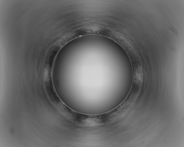 X0000112720468200908201252