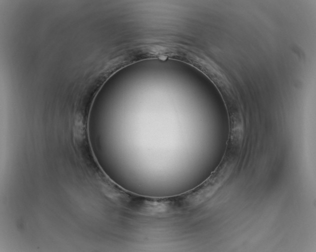 X0000112720469200908201252