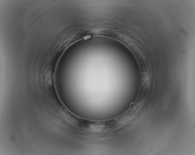 X0000112720470200908201252