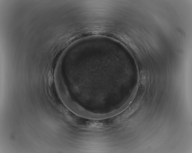X0000112720471200908201252
