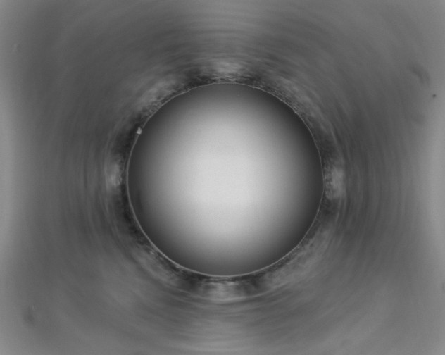 X0000112720472200908201252