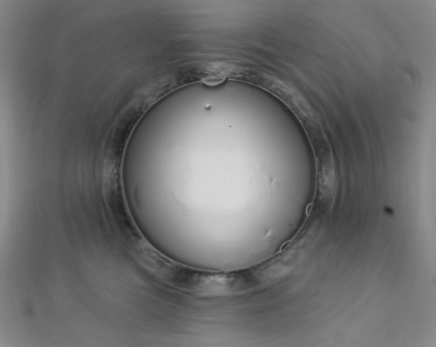 X0000112720473200908201252