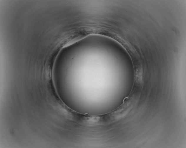 X0000112720474200908201252