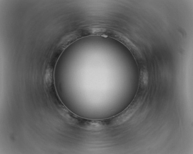 X0000112720475200908201252