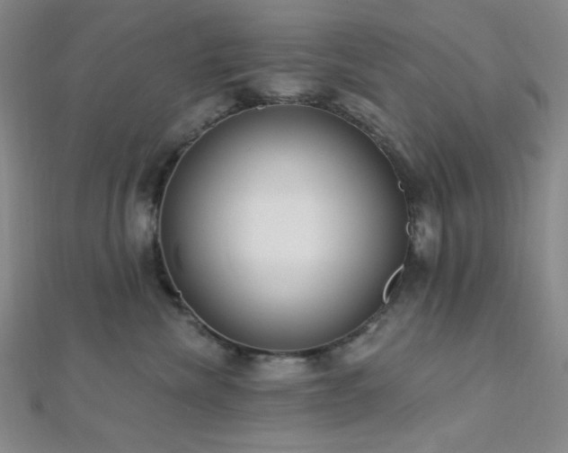 X0000112720476200908201252