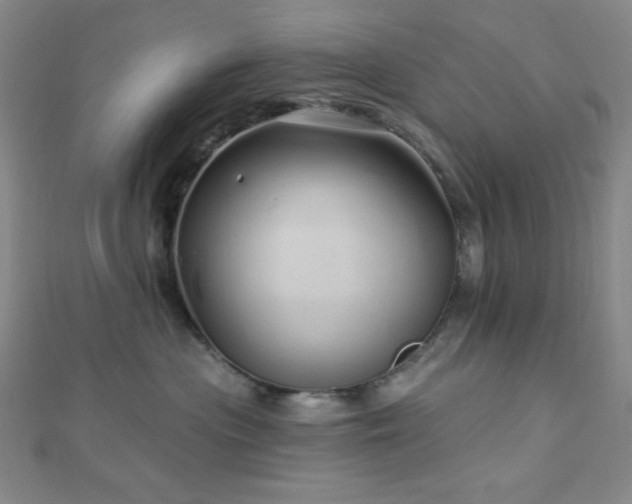 X0000112720477200908201252