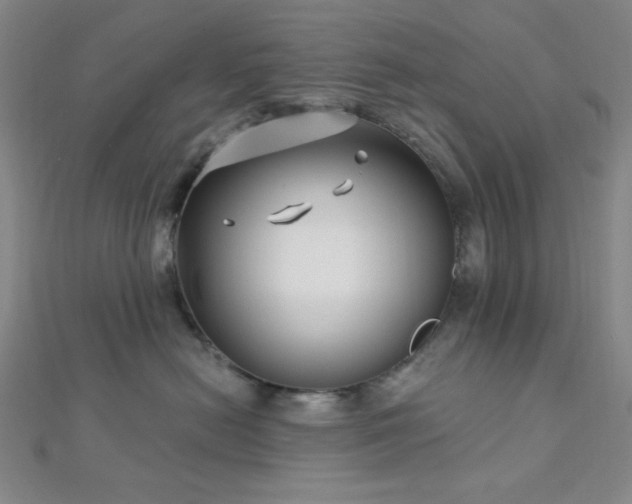 X0000112720478200908201252