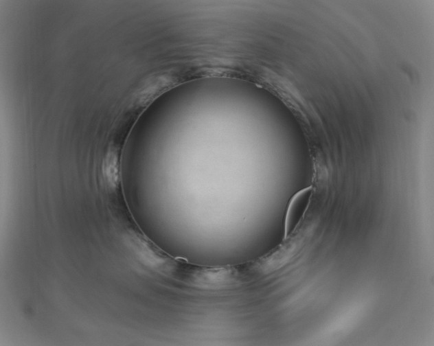 X0000112720479200908201252