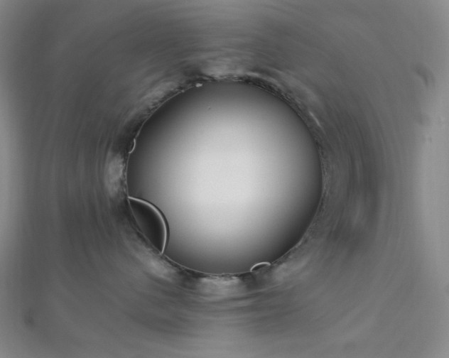 X0000112720480200908201252