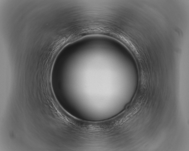 X0000112720481200908201251