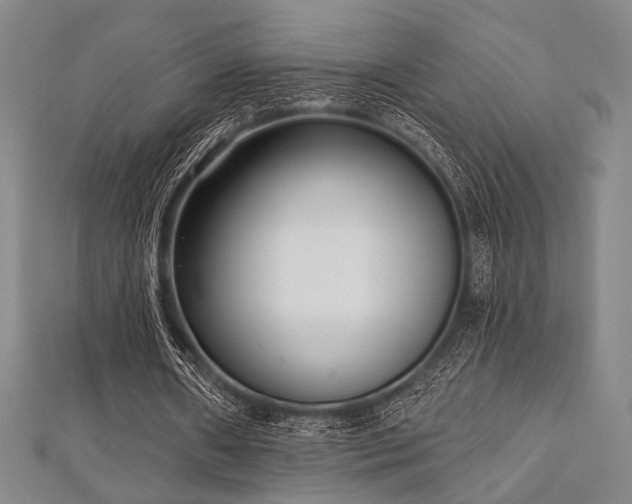X0000112720482200908201251