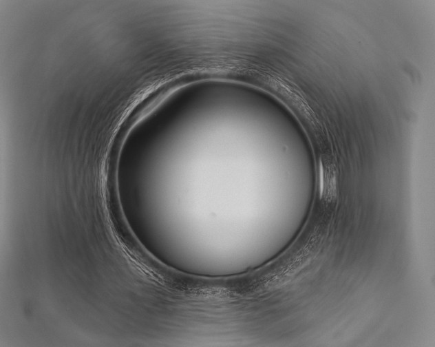 X0000112720483200908201251