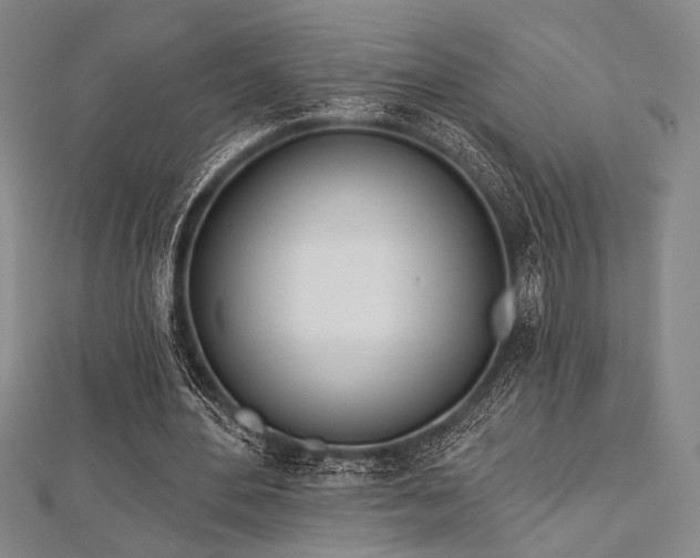 X0000112720484200908201251