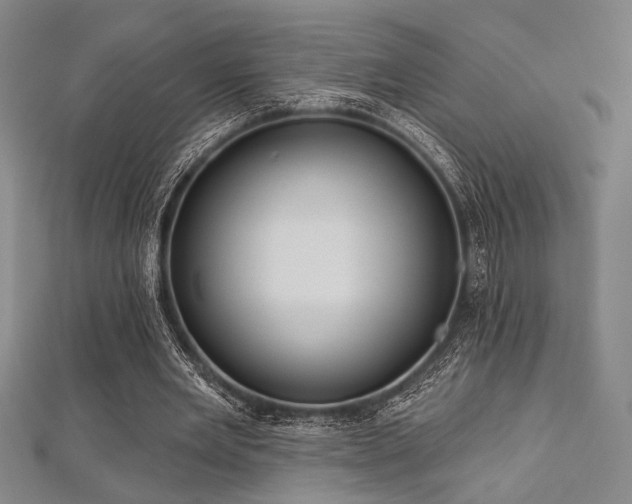 X0000112720485200908201251